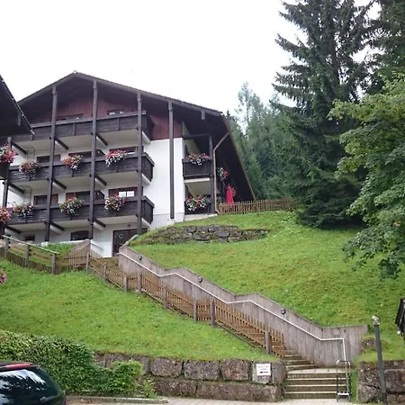 Buchenhoehe * Berchtesgaden